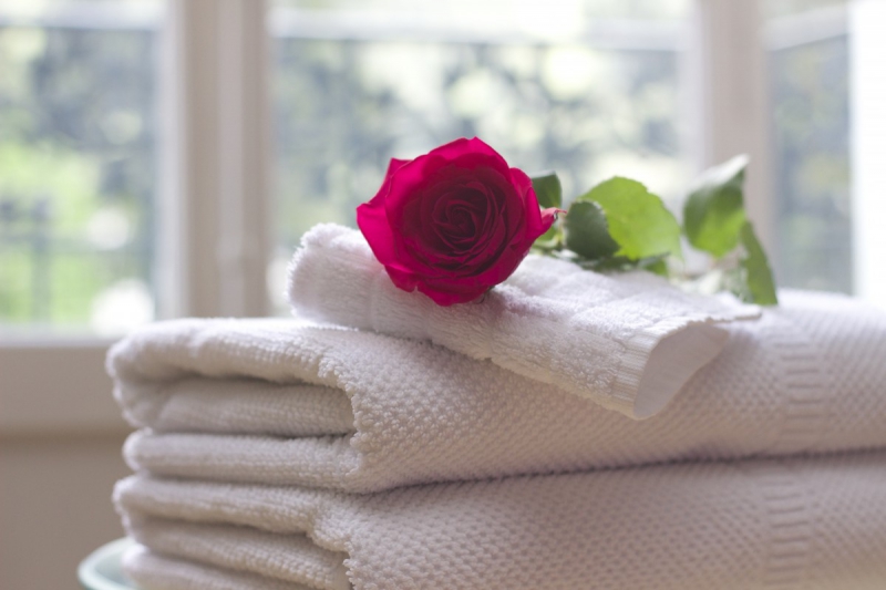 chambre-hote-AMPUS-min_towel_rose_clean_care_salon_spa_white_bath-731641